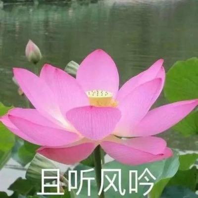 “濠江之春——澳门与内地艺术家大联欢”举办